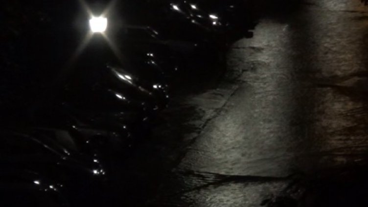 Снимка: Dnes.bg