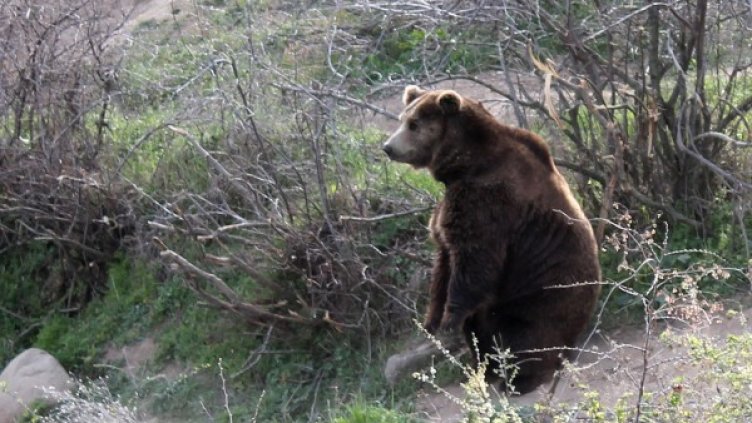 Снимка: Булфото