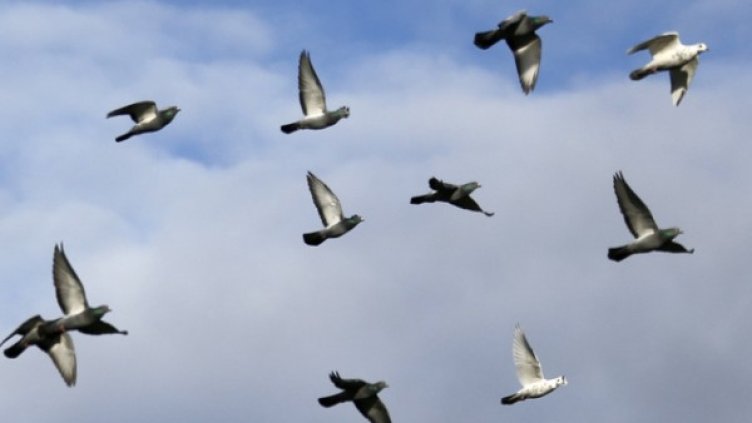 Снимка: архив, Reuters