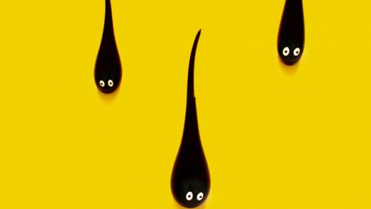 Снимка: freeimages.com