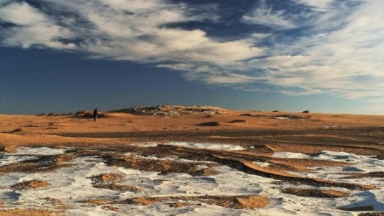 Снимка: raredelights.com