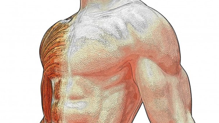 Снимка: freeimages.com