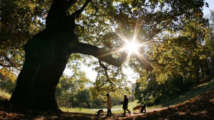 Снимка: архив, Reuters