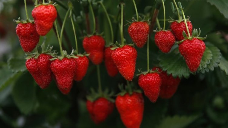 Снимка: Reuters