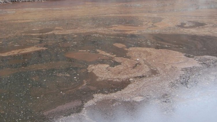 Снимка: Булфото, архив