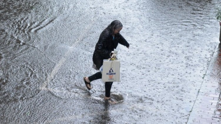 Снимка: Булфото, архив