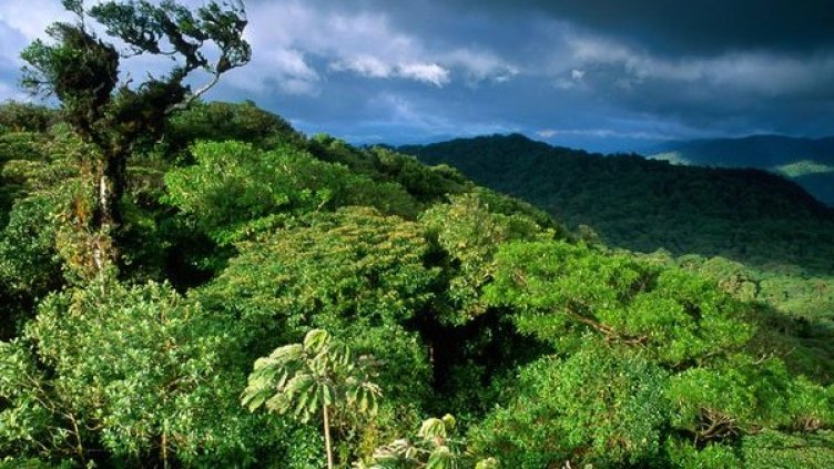 Снимка: Christian Heeb