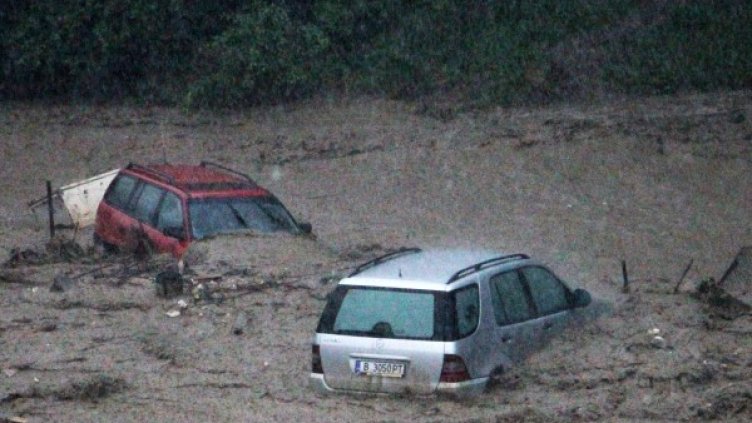 Снимка: Impact Press Group