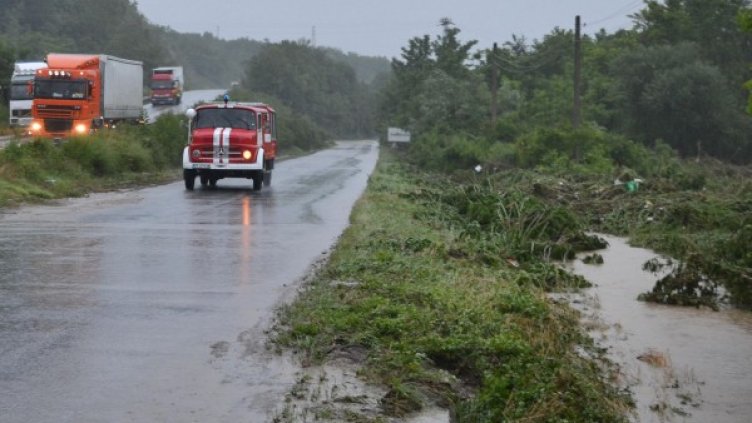 Снимка: Булфото