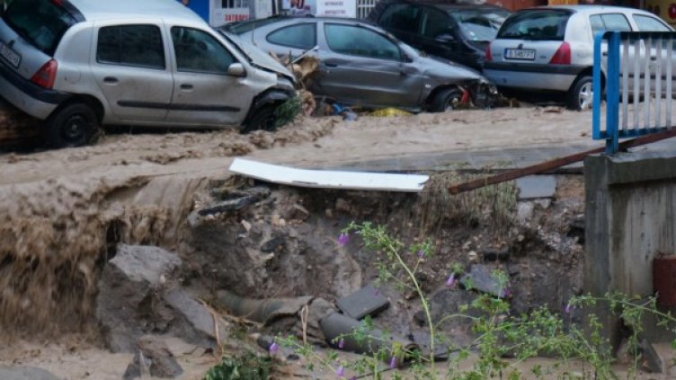 Снимка:  Булфото