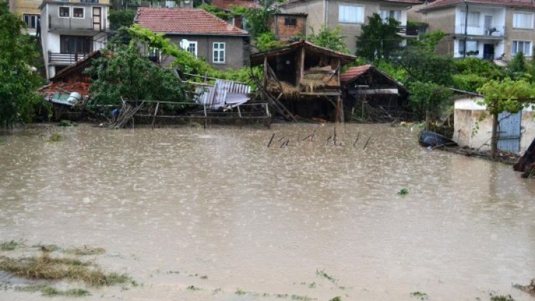 Калифарево, Великотърновско Снимка:  Булфото