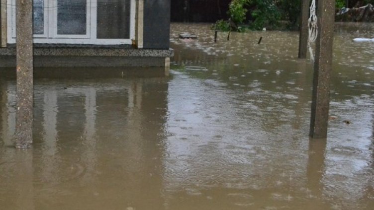 Снимка:  Булфото