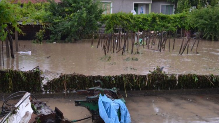 Снимка: Булфото