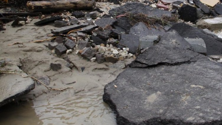 Снимка: Impact Press Group