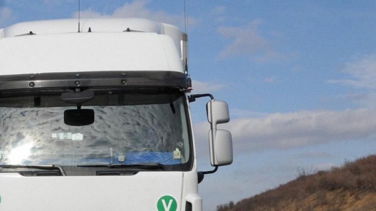 Снимка: Булфото, ахрив