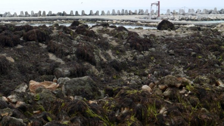 Свлачището край Кранево. Снимка, архив Булфото