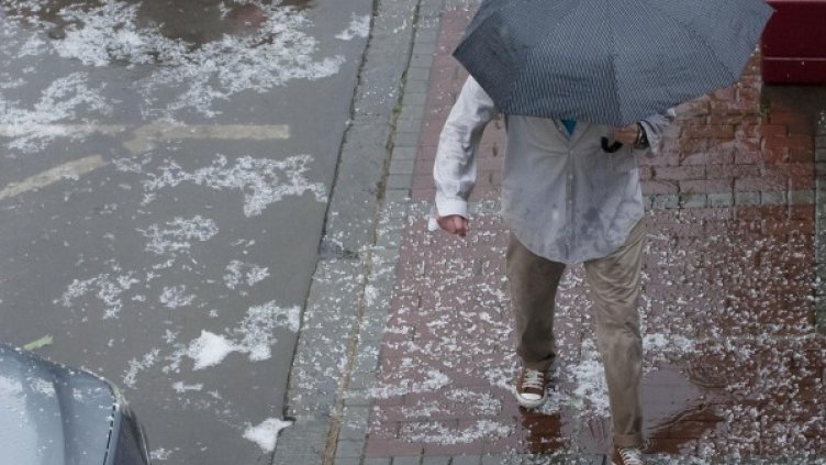 Снимка: Булфото