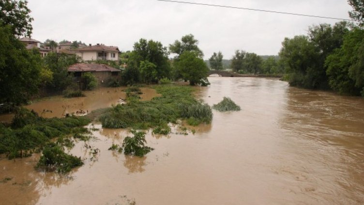 Снимка: Булфото