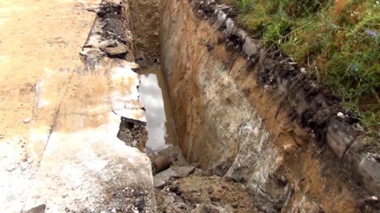 Снимка: Dnes.bg