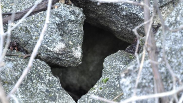 Снимка: Булфото, архив