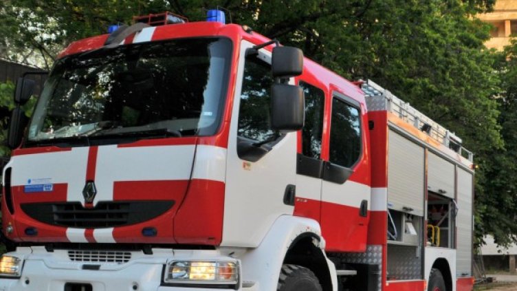 Снимка: архив, Булфото