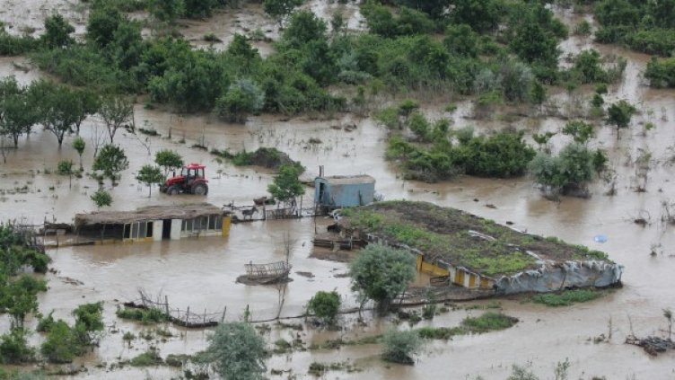 Снимка: Impact Press Group