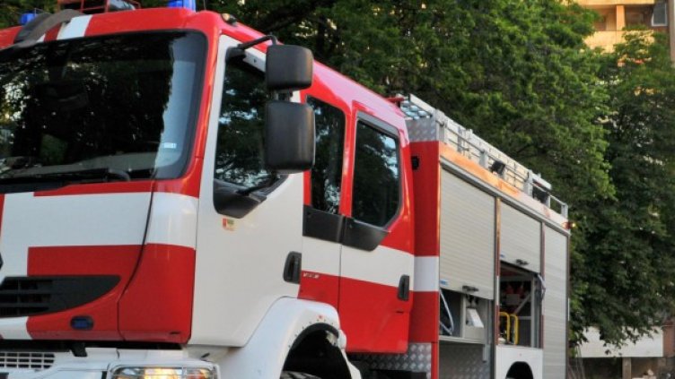 Снимка: Булфото, ахрив