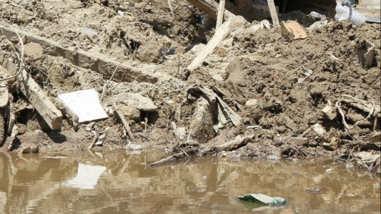 Снимка: Булфото