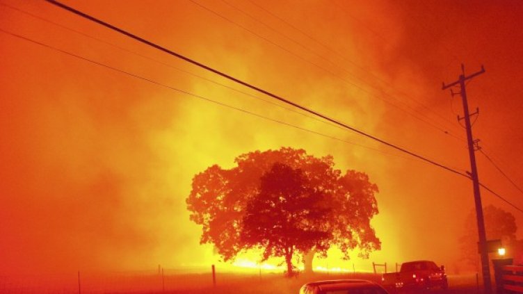 Снимка: Reuters, архив