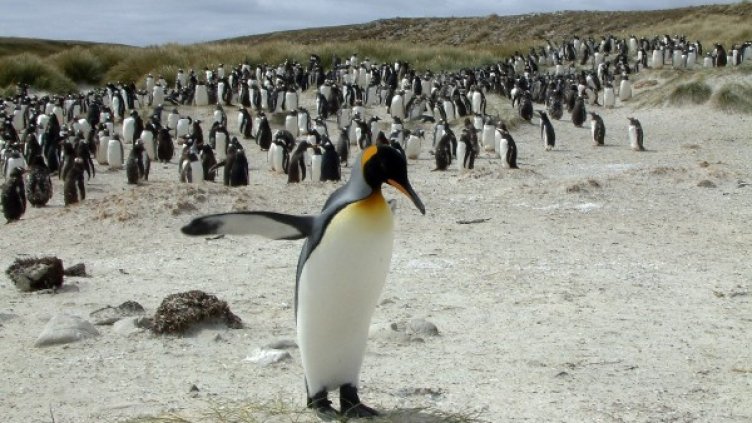 Снимка: Reuters