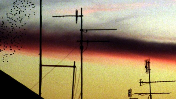 Снимка: Reuters, архив