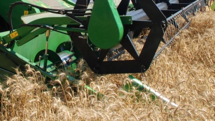 Снимка: архив Булфото