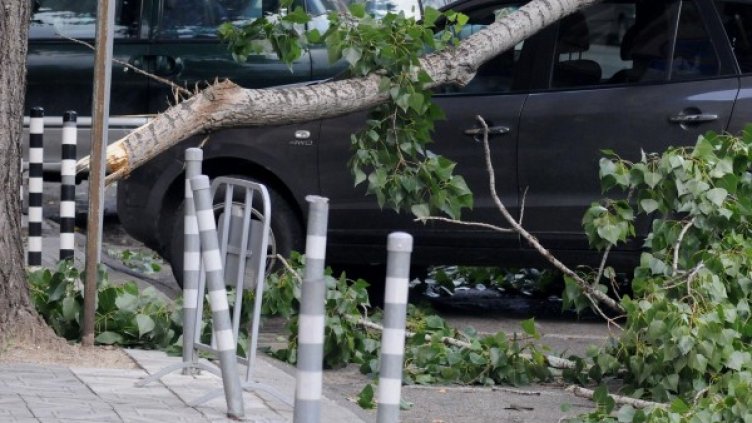 Снимка: Булфото, архив