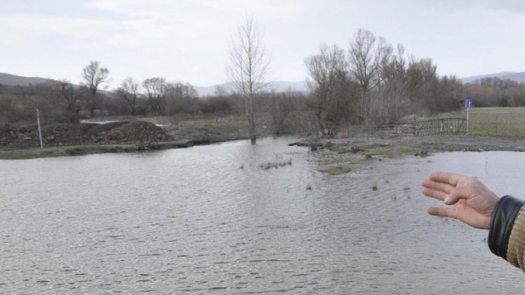 Снимка: Булфото, архив