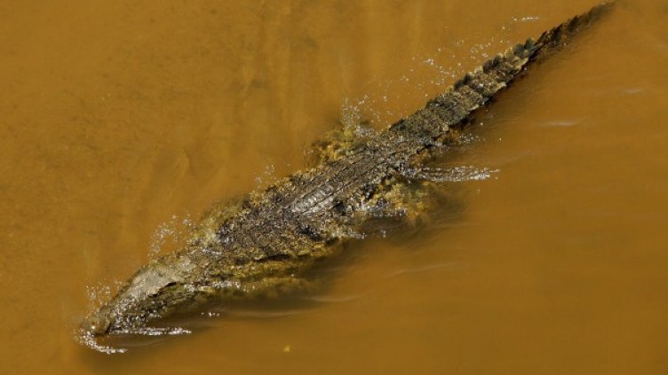 Снимка: Getty Images