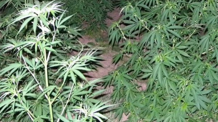 Снимка: архив, Булфото