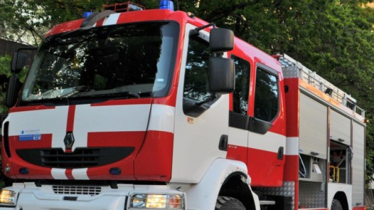 Снимка: архив, Булфото