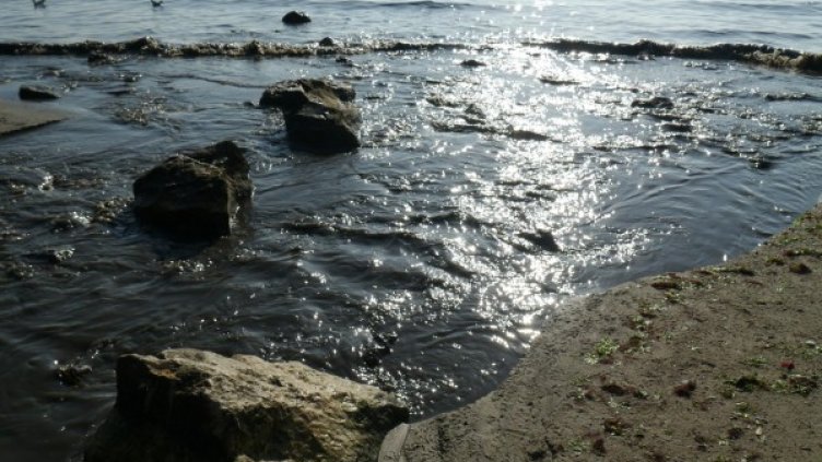 Снимка: архив Булфото