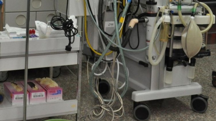 Снимка: архив, БулФото