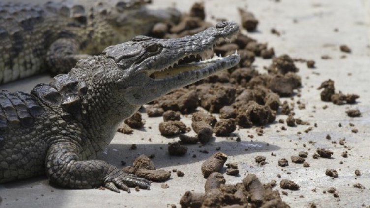 Снимка: Reuters