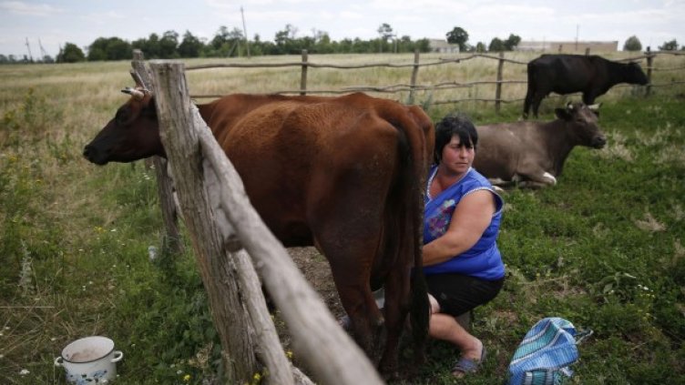 Снимка: Reuters