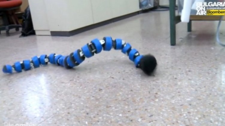 Снимка: bgonair.bg