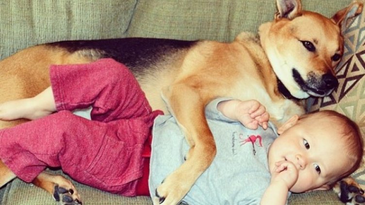 Снимка: Instagram