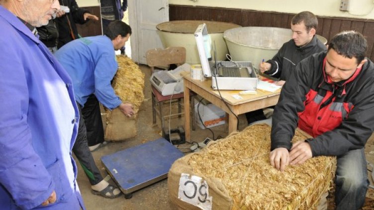 Снимка: Булфото, архив