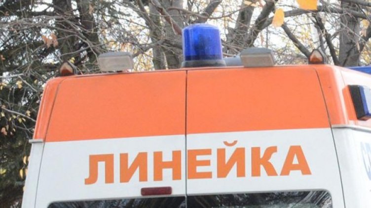 Снимка: Булфото, ахрив