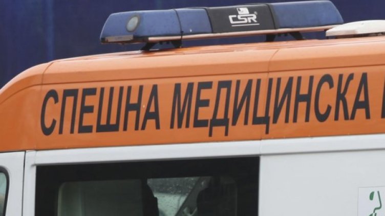 Снимка: Булфото, ахрив