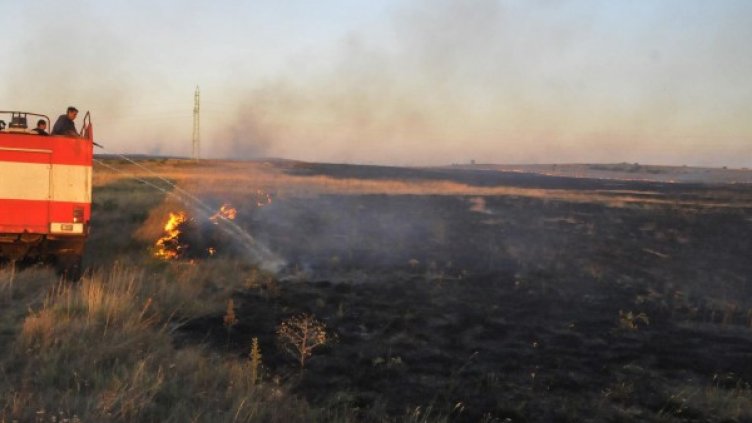 Снимка: Булфото, архив