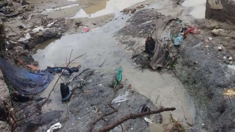 Снимка: архив Булфото