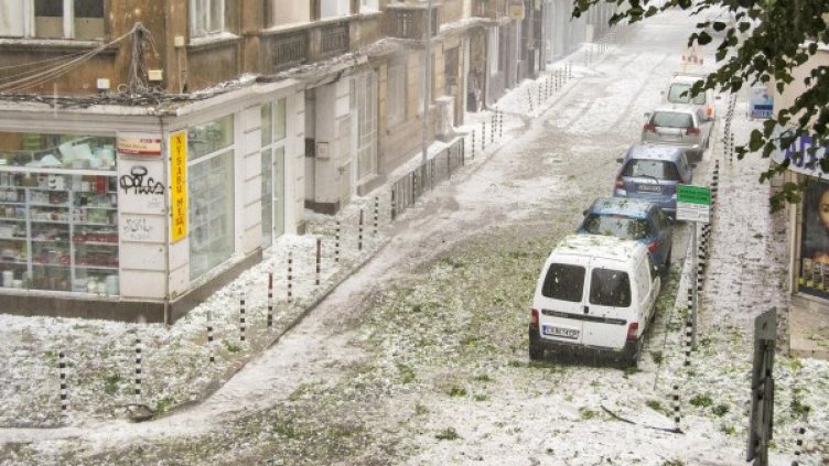 Снимка: Булфото