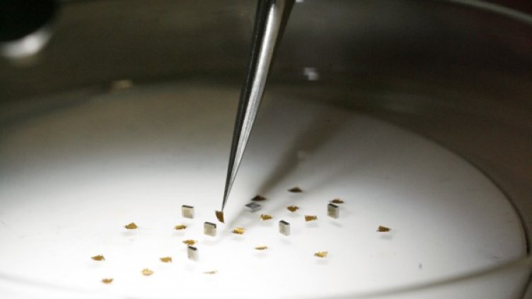 Снимка: Reuters, архив